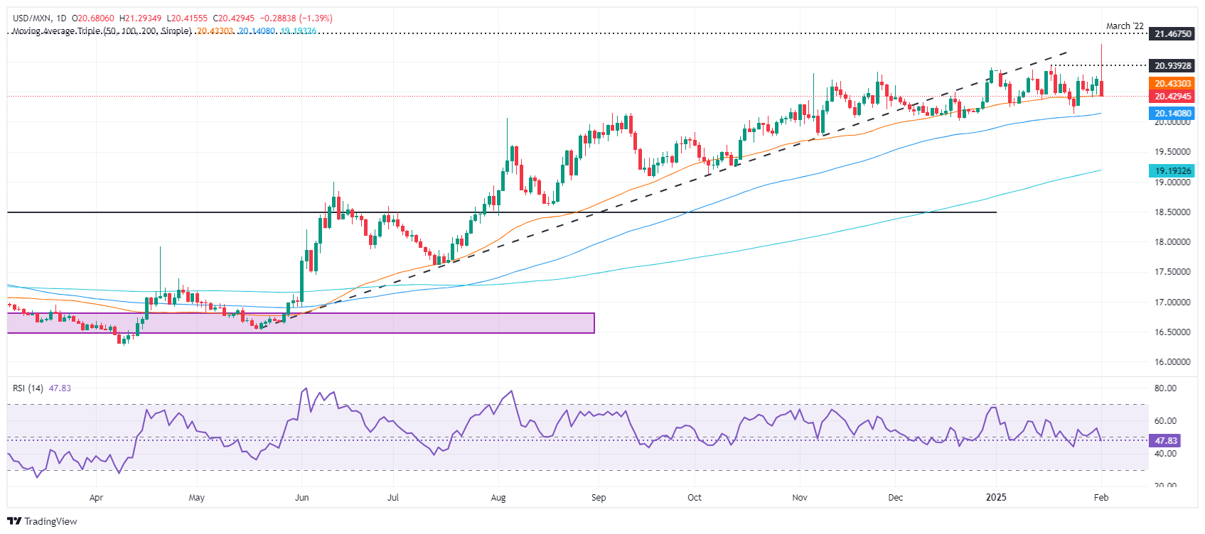 由于美墨关税暂停缓解紧张局势，墨西哥比索上涨